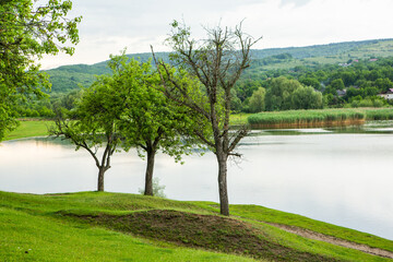 Photo with landscape and beautiful green nature in the Republic of Moldova, a small friendly country in Eastern Europe.