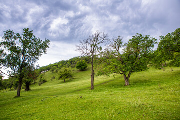 Photo with landscape and beautiful green nature in the Republic of Moldova, a small friendly country in Eastern Europe.