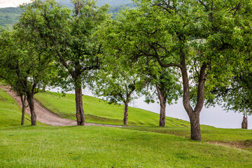 Fototapeta premium Photo with landscape and beautiful green nature in the Republic of Moldova, a small friendly country in Eastern Europe.
