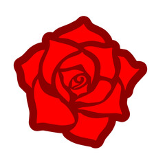 Rose Flower illustration 