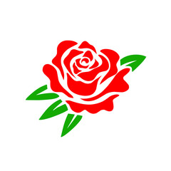 Rose Flower illustration 