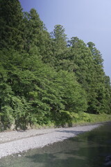 Fototapeta premium 山間に流れる清流