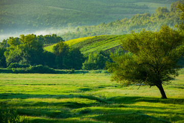 Fototapeta premium Photo with landscape and beautiful green nature in the Republic of Moldova, a small friendly country in Eastern Europe.