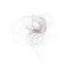 Pile of lost hair isolated on white, top view