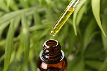 Dripping essential oil from pipette into bottle outdoors, closeup