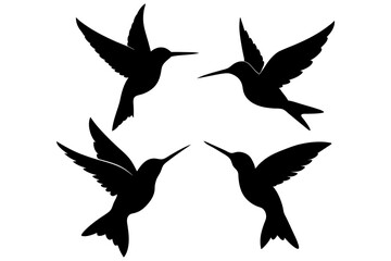 Obraz premium Bird silhouette vector illustration 