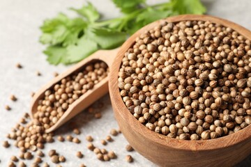 Dried coriander seeds in bowl, scoop and green leaves on light gray table, closeup