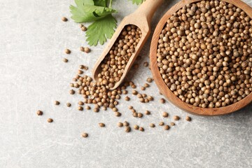 Dried coriander seeds in bowl, scoop and green leaf on light gray textured table, flat lay