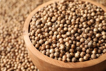 Dried coriander seeds in bowl, closeup view