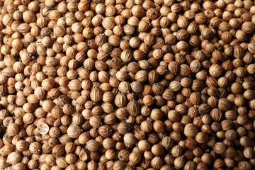 Dried coriander seeds as background, top view