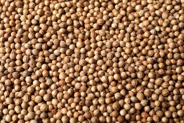 Dried coriander seeds as background, top view