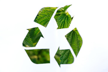 Recycle logo on a white background. Eco-friendly logo in nature. Green plant with a recycle logo....