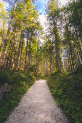 Obraz premium How amazing is the Eibsee lake?