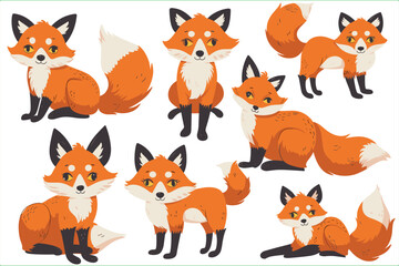 Set of Fluffy the Fox isolated on a white background, Flat style cartoon vector illustration. Fox of colorful set. Flat vector set of bright red fox in different actions. Fox character.