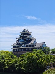 Fototapeta premium Okayama Castle