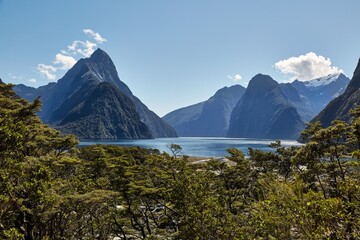 Landscape in New Zealand Fjordland