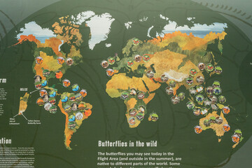 map of the world