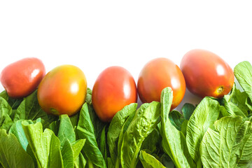 Bok choy and tomatoes isolated on white. Concept of healthy food and healthy eating. Vegetarian. Vegan. Christmas color palette.