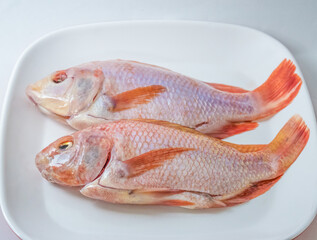 Nile tilapia (ikan nila) is widely consumed in Indonesia. Raw nile tilapias on top of a white rectangular plate.