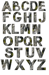 Design element of capital letters of  Alphabet made from photos of old wood from downed log with moss
