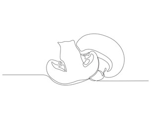 Continuous one line drawing of edible mushroom. One line drawing illustration of mushroom. Fresh raw vegetable concept continuous line art. Editable outline.