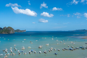 beach with trees and blue sky