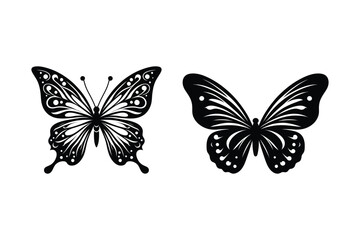 Butterfly Vector Silhouette Illustration
