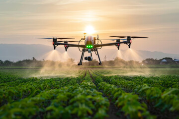 Modern technologies agriculture.  industrial drone flies over green field sprays useful pesticides