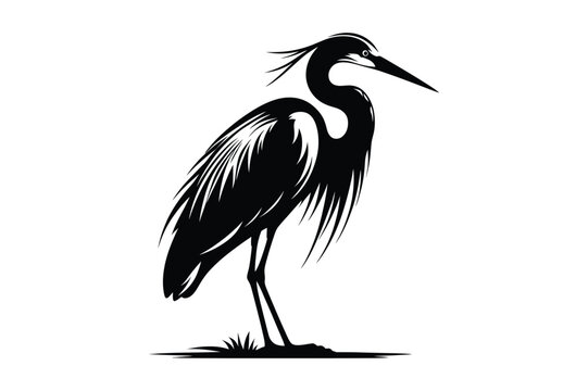 recommend clip art: Great Egret Vector Silhouette Illustration