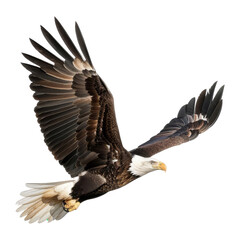 Majestic bald eagle soaring in the sky, showcasing its powerful wings and keen eyesight, symbolizing freedom and strength.