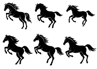 Horse collection / vintage illustration.