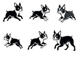 Dogs collection. Vector illustration of funny cartoon different breeds dogs in trendy flat style. Isolated on white.