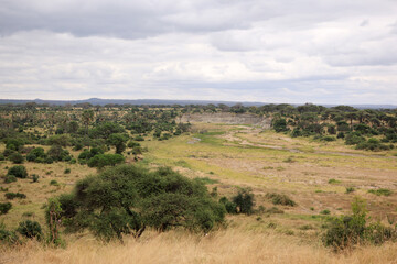  Landscape of Tarangire National Park, Tanzania, East Africa.