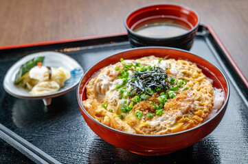 A delicious Japanese dish of chicken and egg over rice.