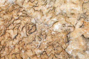 A fragment of a beige shale rock, natural texture background.