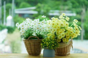 small flower plant decoration in basket
