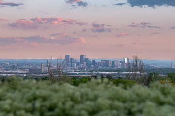 The Sunset  time in Denver , Colorado , USA  Downtown City glowing Nightscape Skyline of the Mile High City.