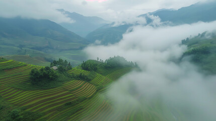 Misty Mountain Terraces: A Serene Landscape