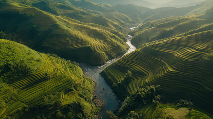 Majestic Green Terraced Fields with Serpentine River