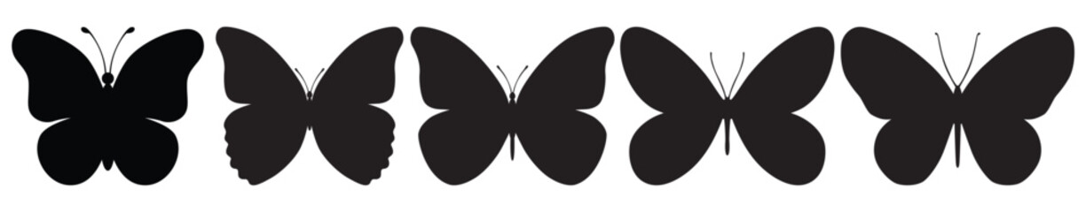 Butterfly black color, flying shape, vector design. Abstract modern monarch butterfly contours on white background for decoration design. Closeup design element, black butterfly, silhouette, icon, art