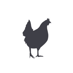silhouette of standing chicken