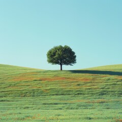 Obraz premium Serene Grassland and Tree Minimalism - Picture-Perfect Landscape Photography