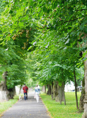 Blurred defocused people are walking in the park.