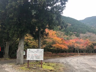 紅葉 伊豆 滑沢渓谷（なめさわけいこく）