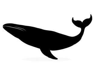 schwarz Silhouette Kontrast wal isoliert auf wei&szlig;en Hintergrund, Freisteller 