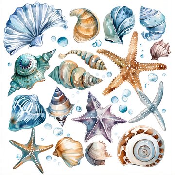 a painting of sea shells and starfishes on a white background with bubbles around them