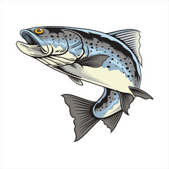 Vector Illustration of Steelhead Trout Fish with Vintage Illustration