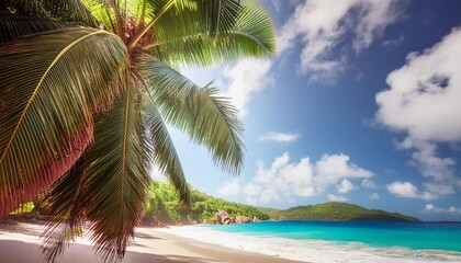 palm trees on tropical beach anse georgette on praslin island paradise on the seychelles