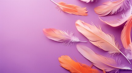 Fototapeta premium Feathers on a purple background, suitable for design with copy space.