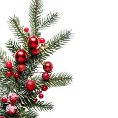 christmas tree branches with cones